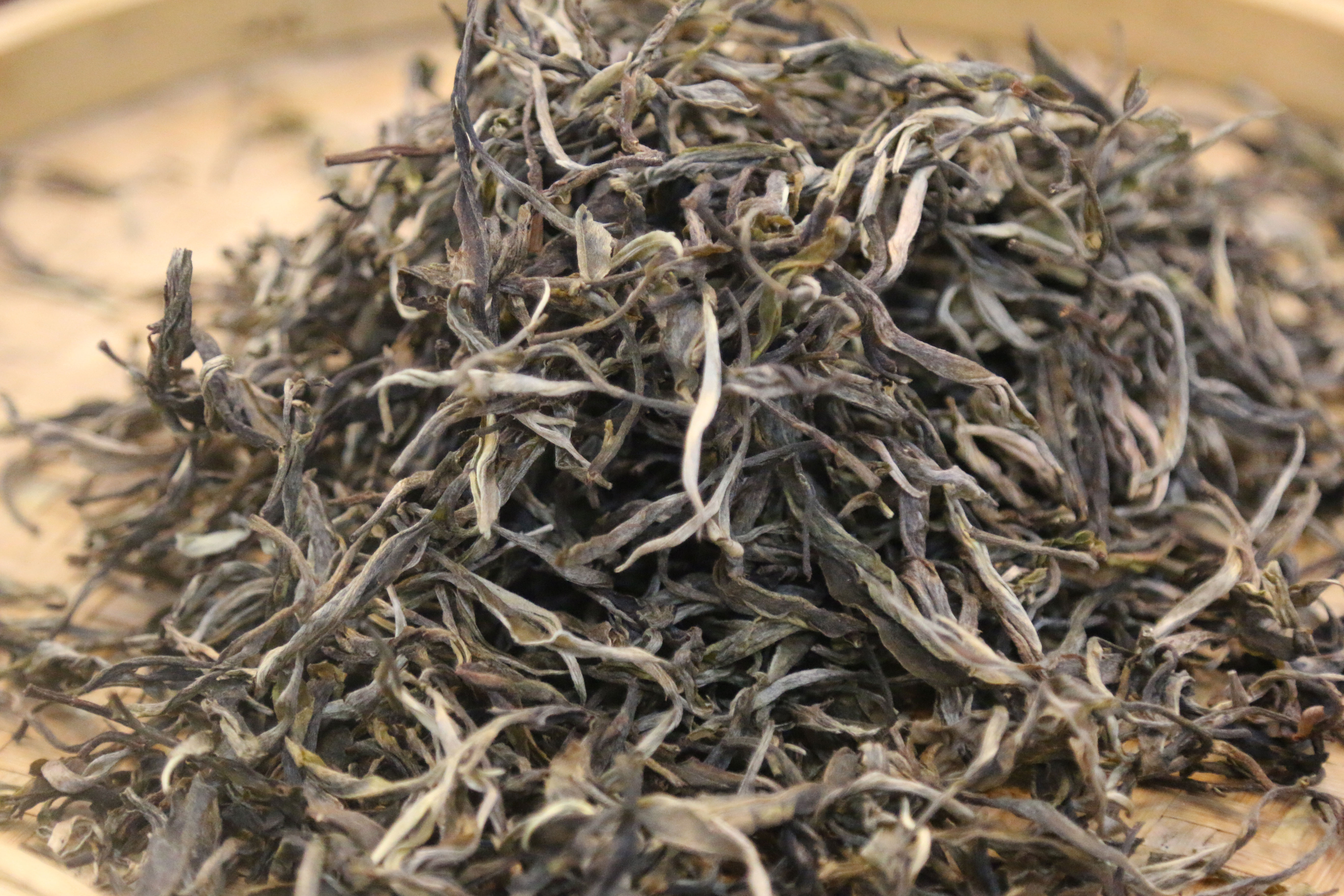 伍洲茶紀 普洱茶小龍珠的靜物獨白