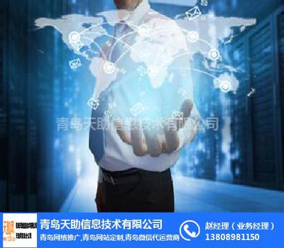 天助資源共享網(wǎng) 信息技術(shù)咨詢服務(wù)的卓越平臺